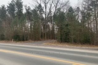 Land for Sale, 0 County Rd 42 N/A, Trent Hills, ON Land for Sale, 0 County Rd 42 N/A, Trent Hills, ON