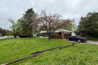 Property for Rent, 927 Srigley St #Bsmt, Newmarket, ON Property for Rent, 927 Srigley St #Bsmt, Newmarket, ON