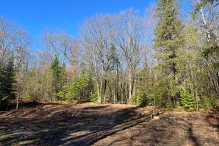 Vacant Residential Land for Sale, 120 Norlock Rd, Madawaska Valley, ON