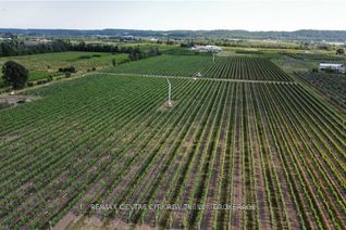 Commercial Farm for Sale, 3920 GREENLANE Rd, Lincoln, ON Commercial Farm for Sale, 3920 GREENLANE Rd, Lincoln, ON