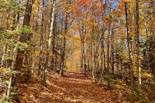 Vacant Residential Land for Sale, 0 20th Side Rd, Parry Sound Remote Area, ON Vacant Residential Land for Sale, 0 20th Side Rd, Parry Sound Remote Area, ON