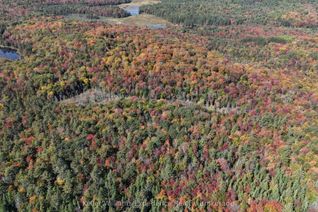 Vacant Residential Land for Sale, PL20 Langford Rd, Lake of Bays, ON