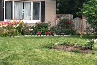 Property for Rent, 26 Morpeth Rd, Brampton, ON Property for Rent, 26 Morpeth Rd, Brampton, ON