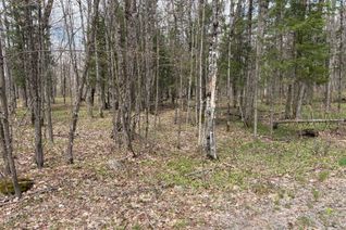 Property for Sale, 0 Dauncey Rd, Magnetawan, ON