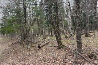 Property for Sale, 0 Ahmic Lake Rd, Magnetawan, ON
