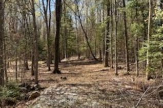 Vacant Residential Land for Sale, PT LT 66 North Dr, Dysart et al, ON