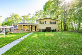 Sidesplit for Sale, 7 Simmons Dr, Whitewater Region, ON