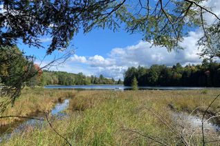 Vacant Land for Sale, 0 County 504 Rd, North Kawartha, ON Vacant Land for Sale, 0 County 504 Rd, North Kawartha, ON