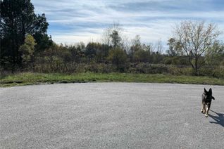 Land for Sale, 11 Greengage Rd, Clearview, ON