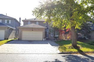 Detached 2-Storey for Rent, 19 Wilfred Crt #- Bsmt, Richmond Hill, ON