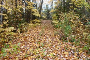 Vacant Land for Sale, Lot 8B Con7 Hwy 503, Highlands East, ON Vacant Land for Sale, Lot 8B Con7 Hwy 503, Highlands East, ON