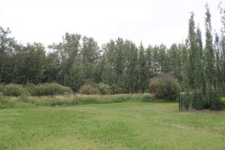 Land for Sale, 3729 47 St, Gibbons, AB