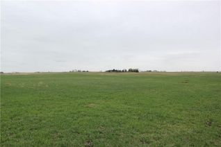Land for Sale, On Highway 567, Rural Rocky View County, AB