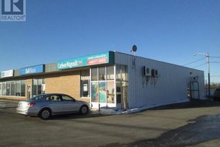 General Commercial Non-Franchise Business for Sale, 28 Cromer Avenue, Grand Falls- Windsor, NL