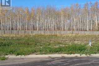 Land for Sale, 21 Bear Creek Drive, High Level, AB