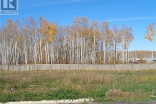 Commercial Land for Sale, 13 Bear Creek Drive, High Level, AB