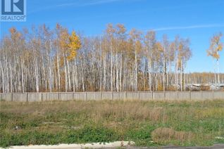 Land for Sale, 13 Bear Creek Drive, High Level, AB