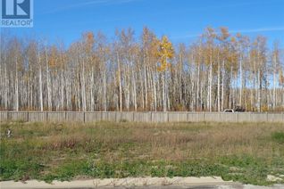 Commercial Land for Sale, 17 Bear Creek Drive, High Level, AB