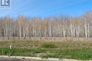 Commercial Land for Sale, 19 Bear Creek Drive, High Level, AB