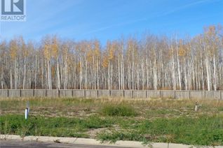 Land for Sale, 19 Bear Creek Drive, High Level, AB