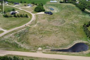 Commercial Land for Sale, On Range Road 213, Rural Camrose County, AB