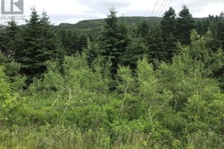 Property for Sale, 0 Snows Lane Road, North River, NL