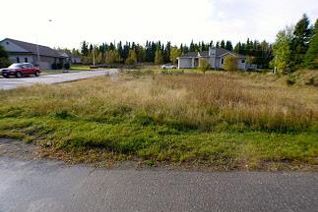 Commercial Land for Sale, 230 Sandy Beach Rd., DRYDEN, ON