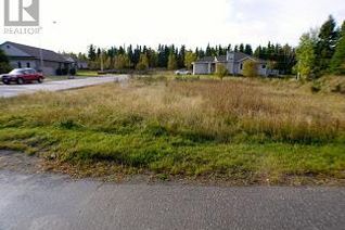 Commercial Land for Sale, 230 Sandy Beach Rd., DRYDEN, ON