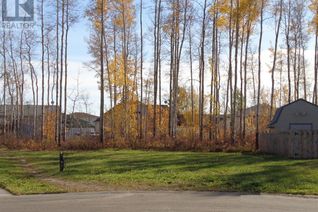 Land for Sale, 5 Birch Close, High Level, AB