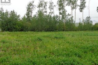 Commercial Land for Sale, 29 Chonkolay Drive, High Level, AB