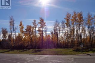 Commercial Land for Sale, 1 Boreal Crescent, High Level, AB