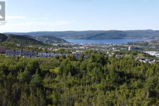 Commercial Land for Sale, 120 Elizabeth Street #PARCEL 045, Corner Brook, NL