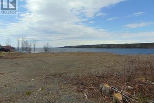 Land for Sale, 12 Lakeview Drive, Millertown, NL