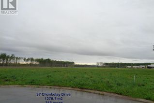 Commercial Land for Sale, 37 Chonkolay Drive, High Level, AB