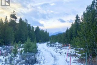 Commercial Land for Sale, 10 Pine Road #LOT, Valemount, BC