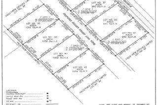 Commercial Land for Sale, 36 Pike Street, Pasadena, NL