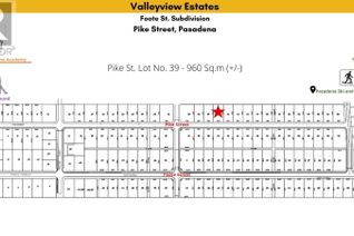 Commercial Land for Sale, 39 Pike Street, Pasadena, NL