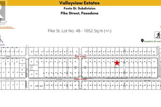 Commercial Land for Sale, 48 Pike Street, Pasadena, NL
