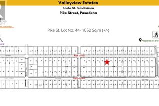 Commercial Land for Sale, 44 Pike Street, Pasadena, NL