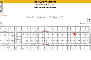 Land for Sale, 54 Pike Street, Pasadena, NL