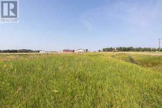 Land for Sale, 3704 42 Avenue, Rural Stettler No. 6, County of, AB