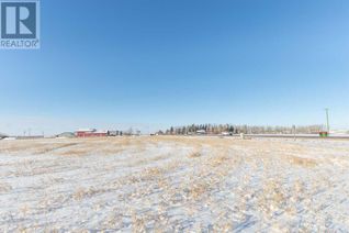 Property for Sale, 3702 42 Avenue, Rural Stettler No. 6, County of, AB