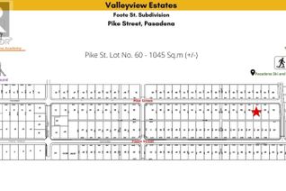 Commercial Land for Sale, 60 Pike Street, Pasadena, NL