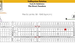 Commercial Land for Sale, 58 Pike Street, Pasadena, NL