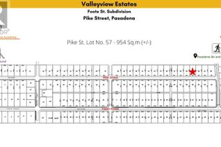 Commercial Land for Sale, 57 Pike Street, Pasadena, NL