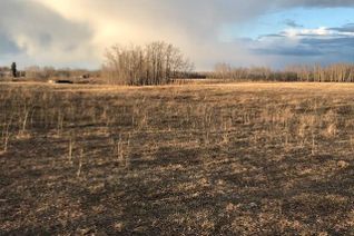 Land for Sale, Nw-14-58-22-W4 Twp Rd 582 & Rr 222, Rural Thorhild County, AB