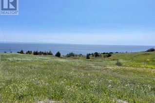 Land for Sale, 460 Main Route, Felix Cove, NL