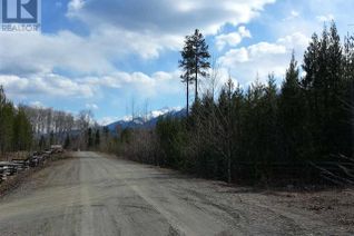 Land for Sale, 2 Small River Fsr Road #LOT, Valemount, BC