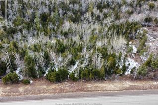 Vacant Residential Land for Sale, Lot 21-37 Orchard Ave, Irishtown, NB