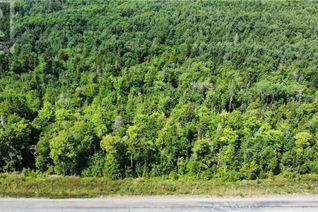 Land for Sale, Lot 21-40 Orchard Avenue, Irishtown, NB